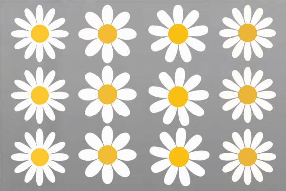 Download Daisy Flower SVG Bundle, Color Daisy SVG - Flower svg Collection