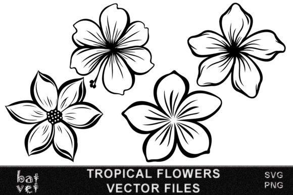Download Tropical Flower SVG Vector Bundle Design - Flower svg Collection